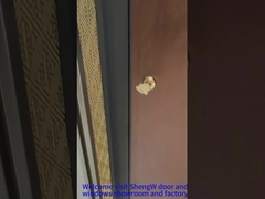 Pintu Pivot Bagian Depan Aluminium